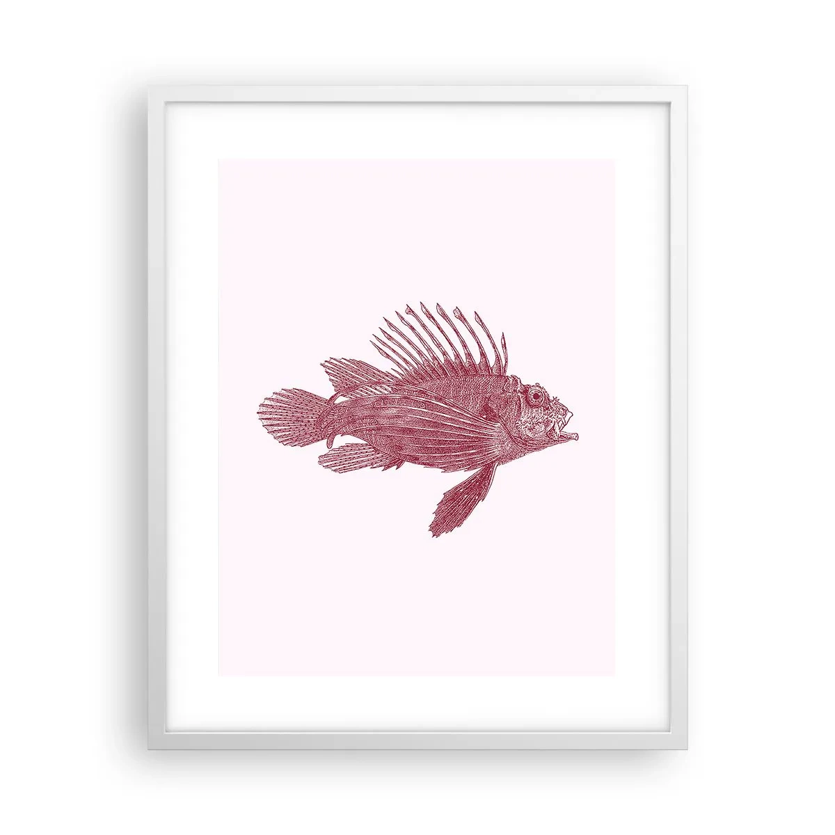 Affiche dans un cadre blanc - Poster - Un habitant des eaux exotiques - 40x50 cm