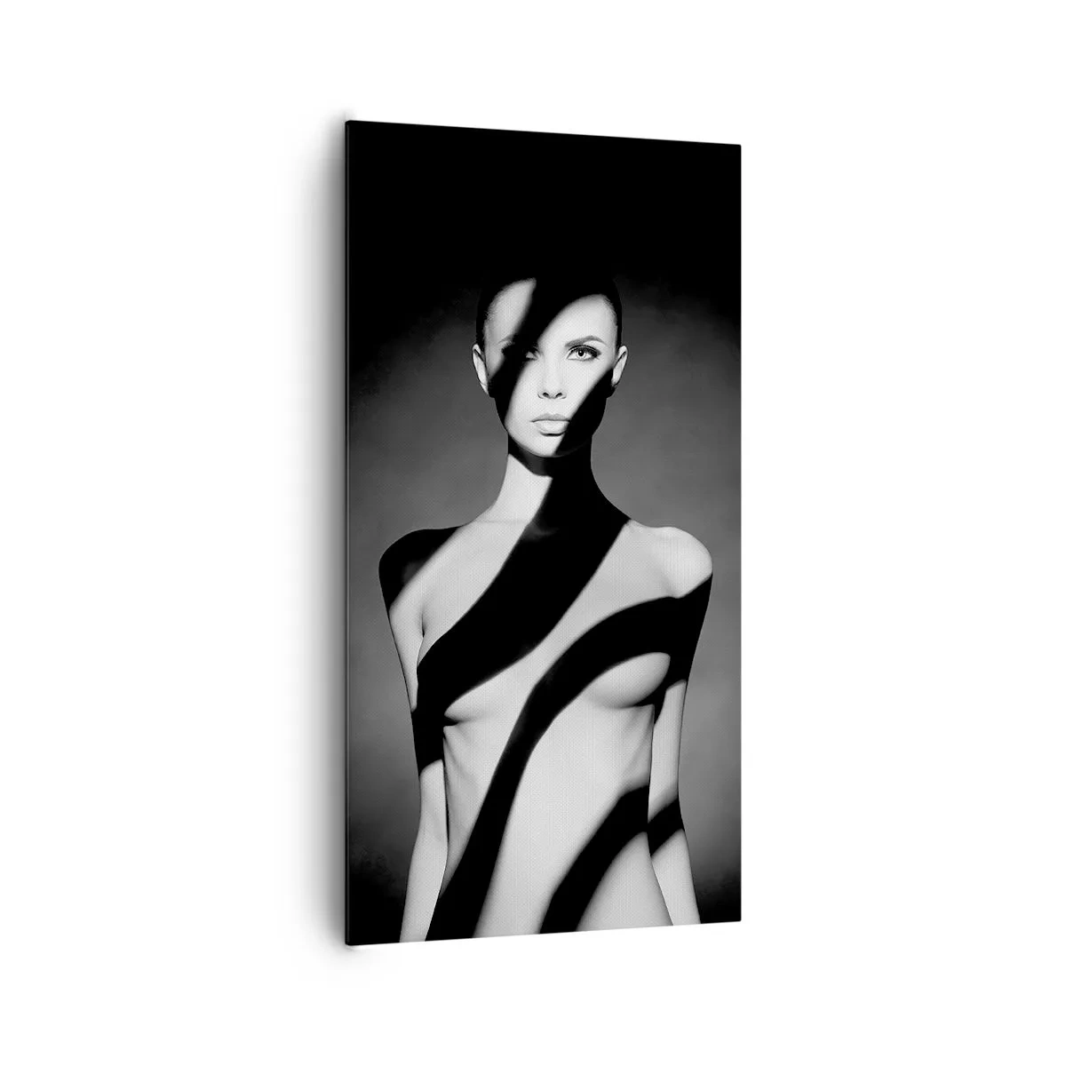 Impression sur toile - Image sur toile - Dans la brillance et l'ombre - 65x120 cm