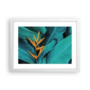 Affiche dans un cadre blanc - Poster - Fleur d'Eden - 40x30 cm