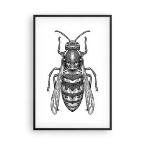 Affiche dans un cadre noir - Poster - D'une planète d'insectes - 61x91 cm