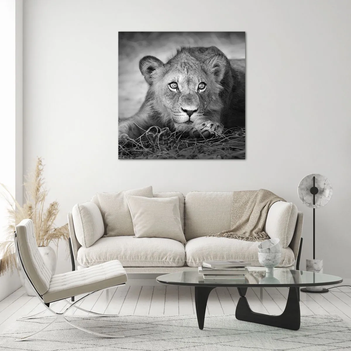 Impression sur verre - Image sur verre - Chiot royal - 70x70 cm