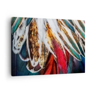 Impression sur toile - Image sur toile - Gros plan de plumes multicolores aux couleurs vives et intenses - 70x50cm - Secrets de vol - Décoration murale moderne pour le salon et la chambre ARTTOR