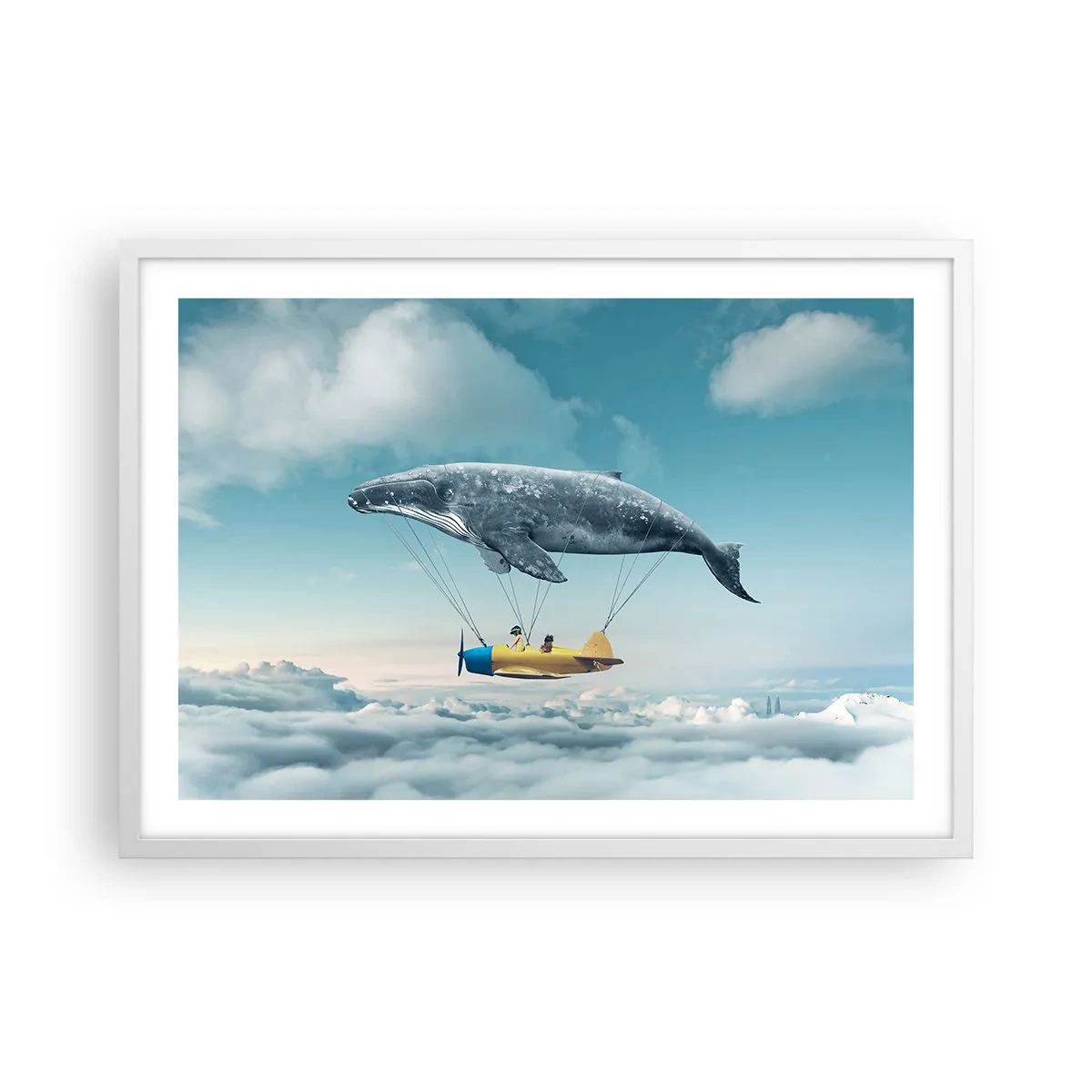 Affiche dans un cadre blanc - Poster - Pourquoi pas? - 70x50 cm