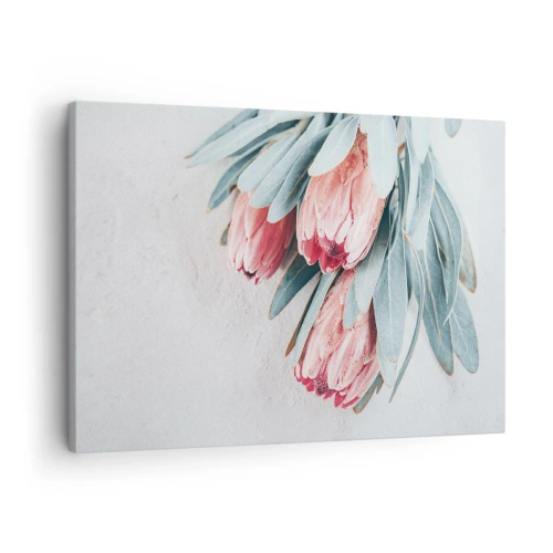 Impression sur toile - Image sur toile - Fleurs de protéa roses subtiles sur fond clair - 70x50cm - Honte de leur propre beauté - Décoration murale moderne pour le salon et la chambre ARTTOR