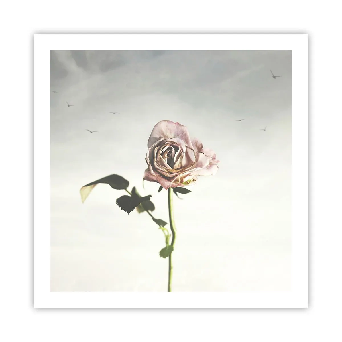 Affiche - Poster - Bonjour de printemps - 60x60 cm