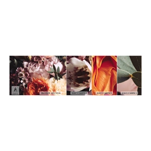 Échantillon de Papier Peint Autocollant Deluxe Sticker - Enveloppé de beauté - Fleurs, Bouquet de fleurs, Rose - 100x30 cm