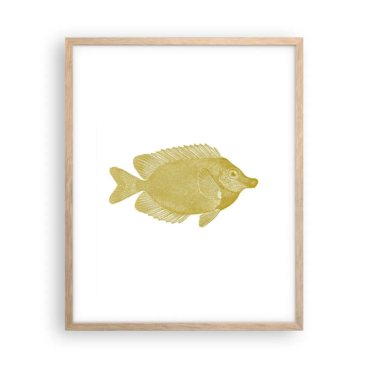 Affiche dans un chêne clair - Poster - Du poisson et c'est tout - 40x50 cm