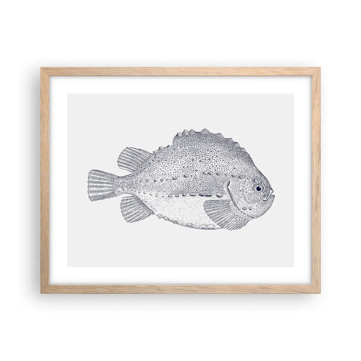 Affiche dans un chêne clair - Poster - Pour l'album du naturaliste - 50x40 cm