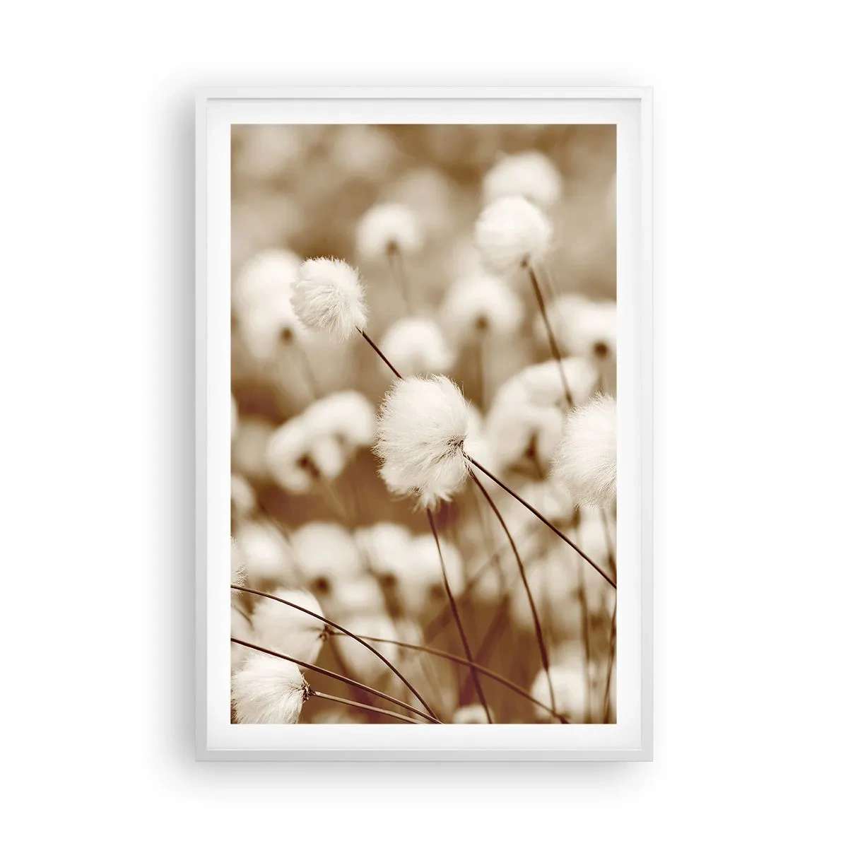 Affiche dans un cadre blanc - Poster - Tige moelleuse - 61x91 cm