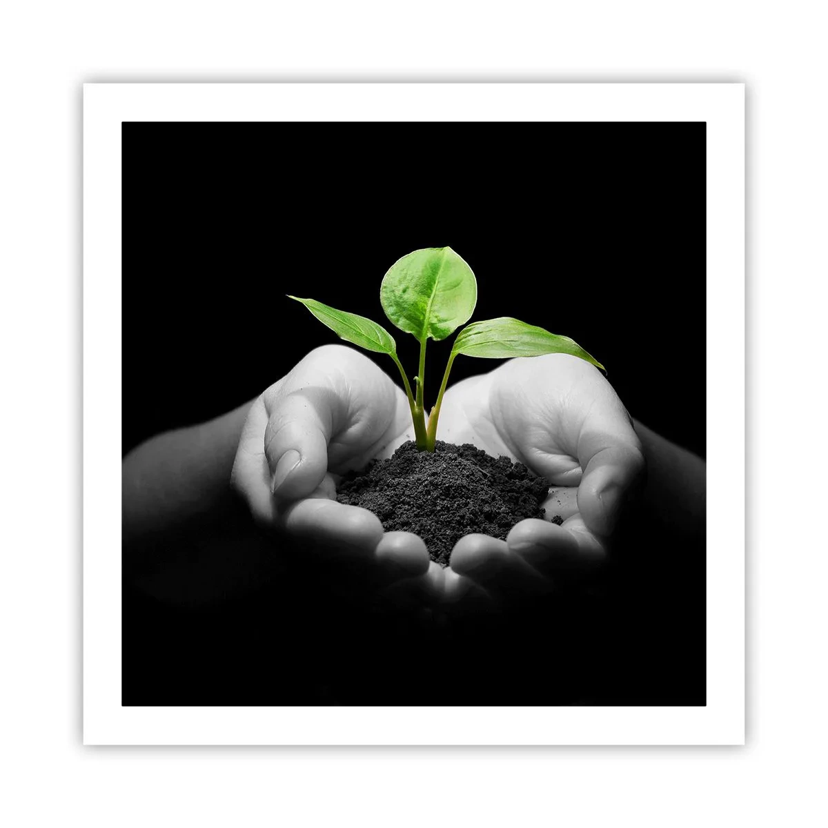 Affiche - Poster - J'aime la nature, je la protège - 60x60 cm