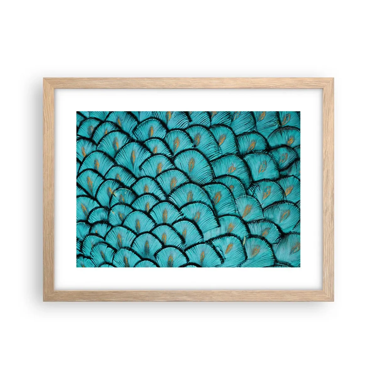 Affiche dans un chêne clair - Poster - Le grand gala des plumes - 40x30 cm