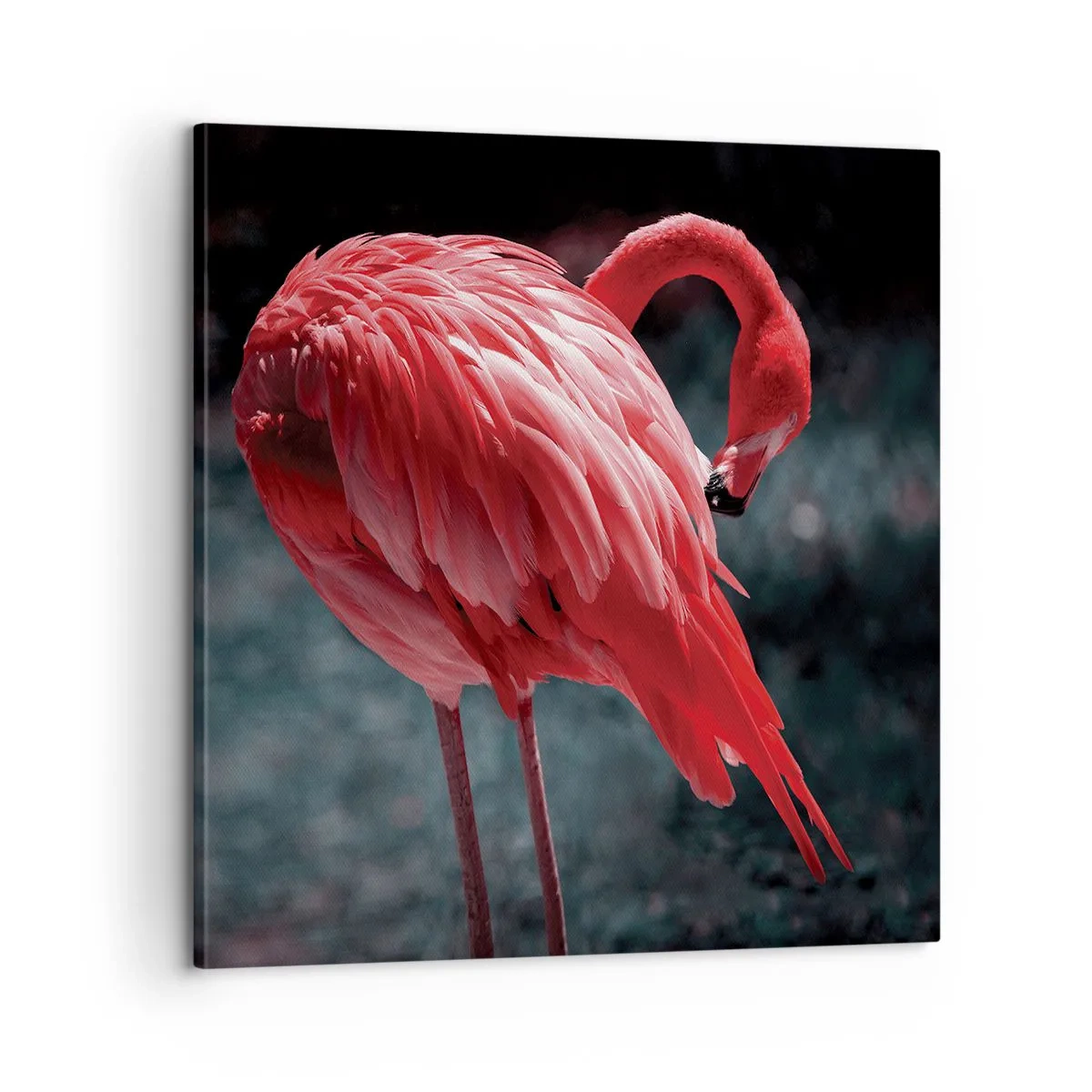 Impression sur toile - Image sur toile - Poème cramoisi de la nature - 60x60 cm