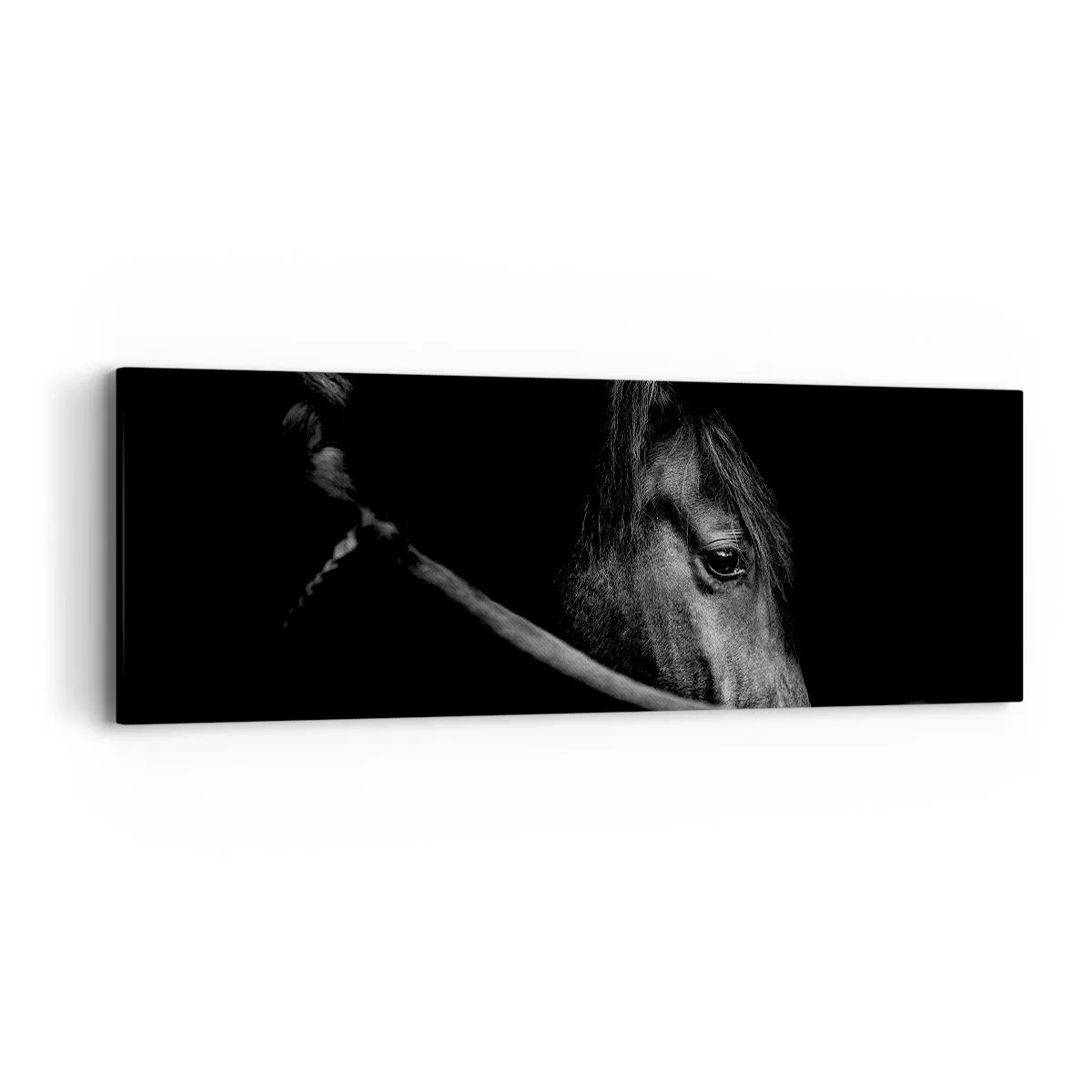 Impression sur toile - Image sur toile - Prince Noir - 90x30 cm