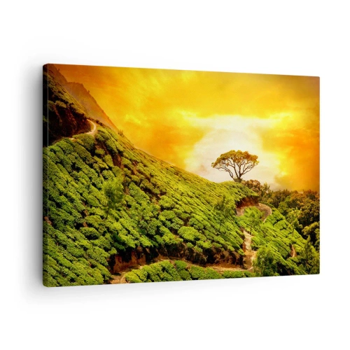 Impression sur toile - Image sur toile - Collines verdoyantes de plantations de thé au coucher du soleil - 70x50cm - Un chemin sinueux, une pente verte - Décoration murale moderne pour le salon et la chambre ARTTOR