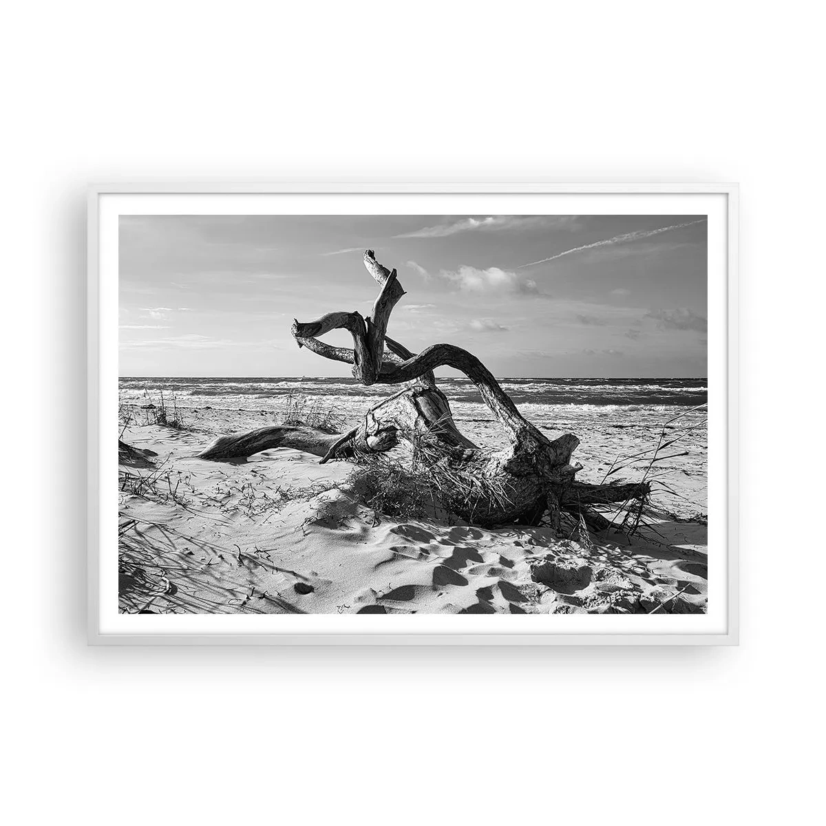 Affiche dans un cadre blanc - Poster - Sculpture marine - 100x70 cm