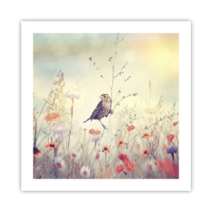 Affiche - Poster - Portrait d'oiseau sur pré en fond - 50x50 cm