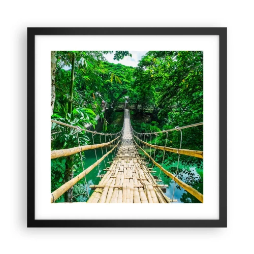 Affiche dans un cadre noir - Poster - Pont de singe en pleine nature - 40x40 cm