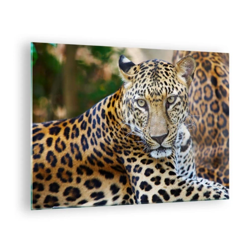 Impression sur verre - Image sur verre - Un léopard sauvage se reposant parmi la verdure - 70x50cm - Sauvage et calme - Décoration murale moderne pour le salon et la chambre ARTTOR