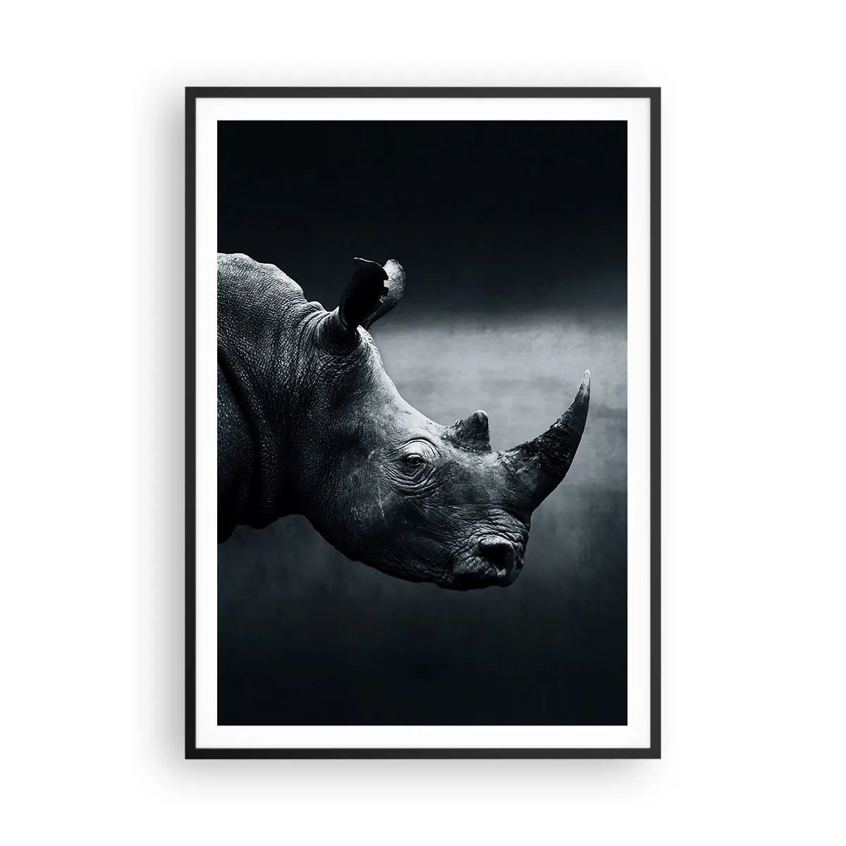 Affiche dans un cadre noir - Poster - Le profil droit - 70x100 cm
