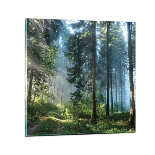 Impression sur verre - Image sur verre - Rayonnant le matin - 50x50 cm