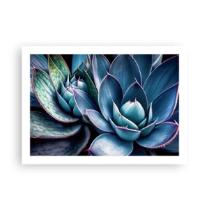 Affiche - Poster - Force vital - 70x50 cm