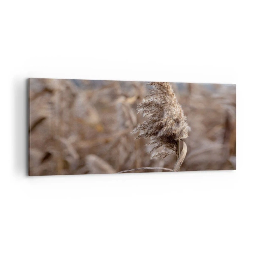 Impression sur toile - Image sur toile - Graminées délicates dans des tons beiges sur fond de nature - 120x50cm - Il est temps de s'envoler avec le vent - Décoration murale moderne pour le salon et la chambre ARTTOR