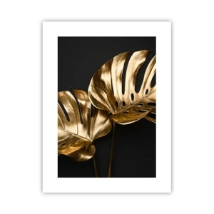 Affiche - Poster - Les trésors de la nature - 30x40 cm