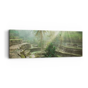 Impression sur toile - Image sur toile - Grandir au soleil - 90x30 cm