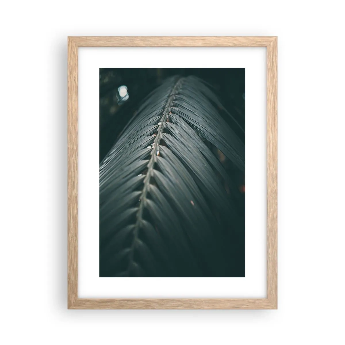 Affiche dans un chêne clair - Poster - Précision de la nature - 30x40 cm
