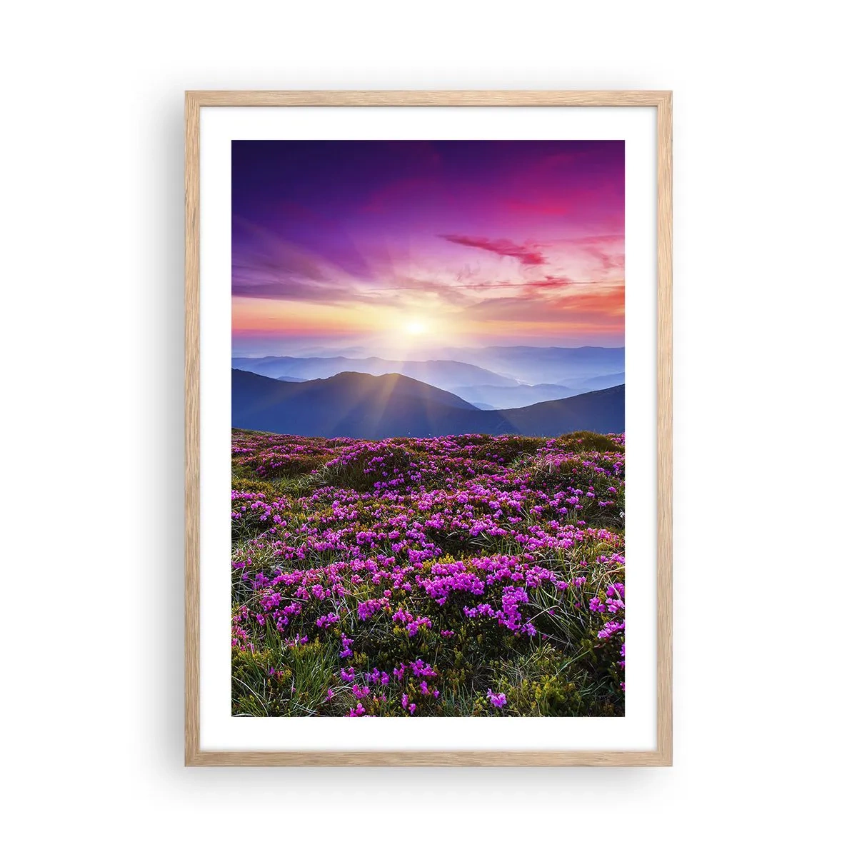 Affiche dans un chêne clair - Poster - Les herbes sentaient les grappes fraîches de la récolte - 50x70 cm