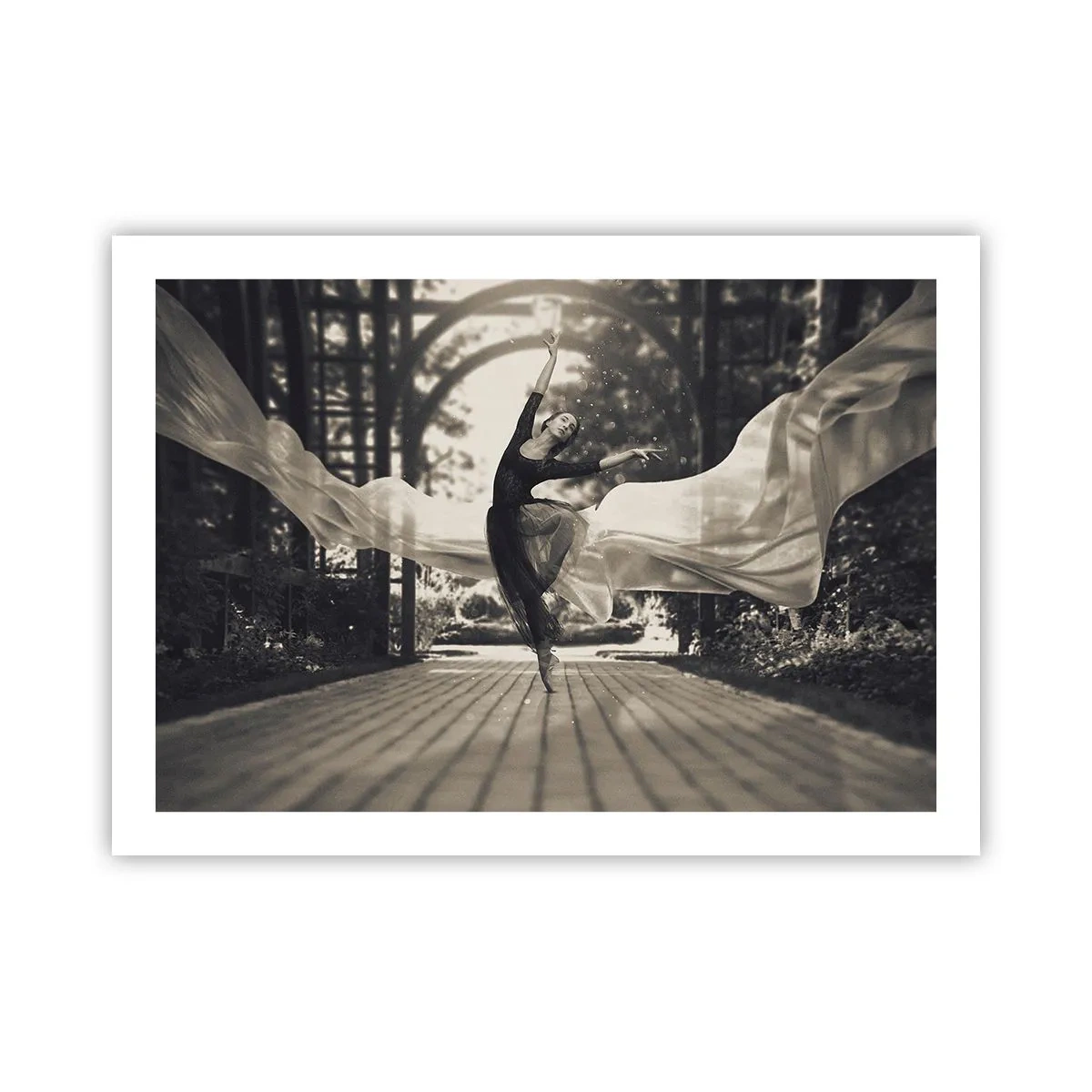 Affiche - Poster - La danse de l'esprit jardin - 70x50 cm