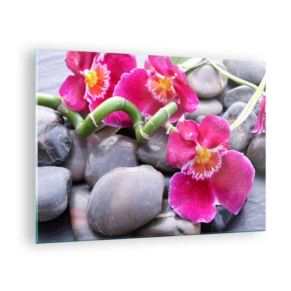 Impression sur verre - Image sur verre - Orchidées roses avec bambou sur pierres - 70x50cm - Refroidir et chauffer - Décoration murale moderne pour le salon et la chambre ARTTOR