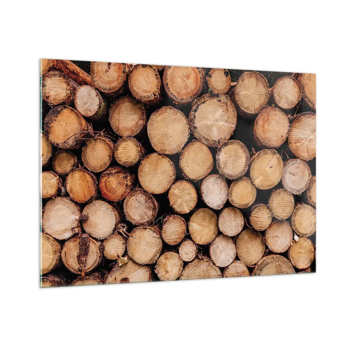 Impression sur verre - Image sur verre - Troncs d'arbres disposés verticalement avec des cernes de croissance visibles - 100x70cm - Nouveau commencement - Décoration murale moderne pour le salon et la chambre ARTTOR