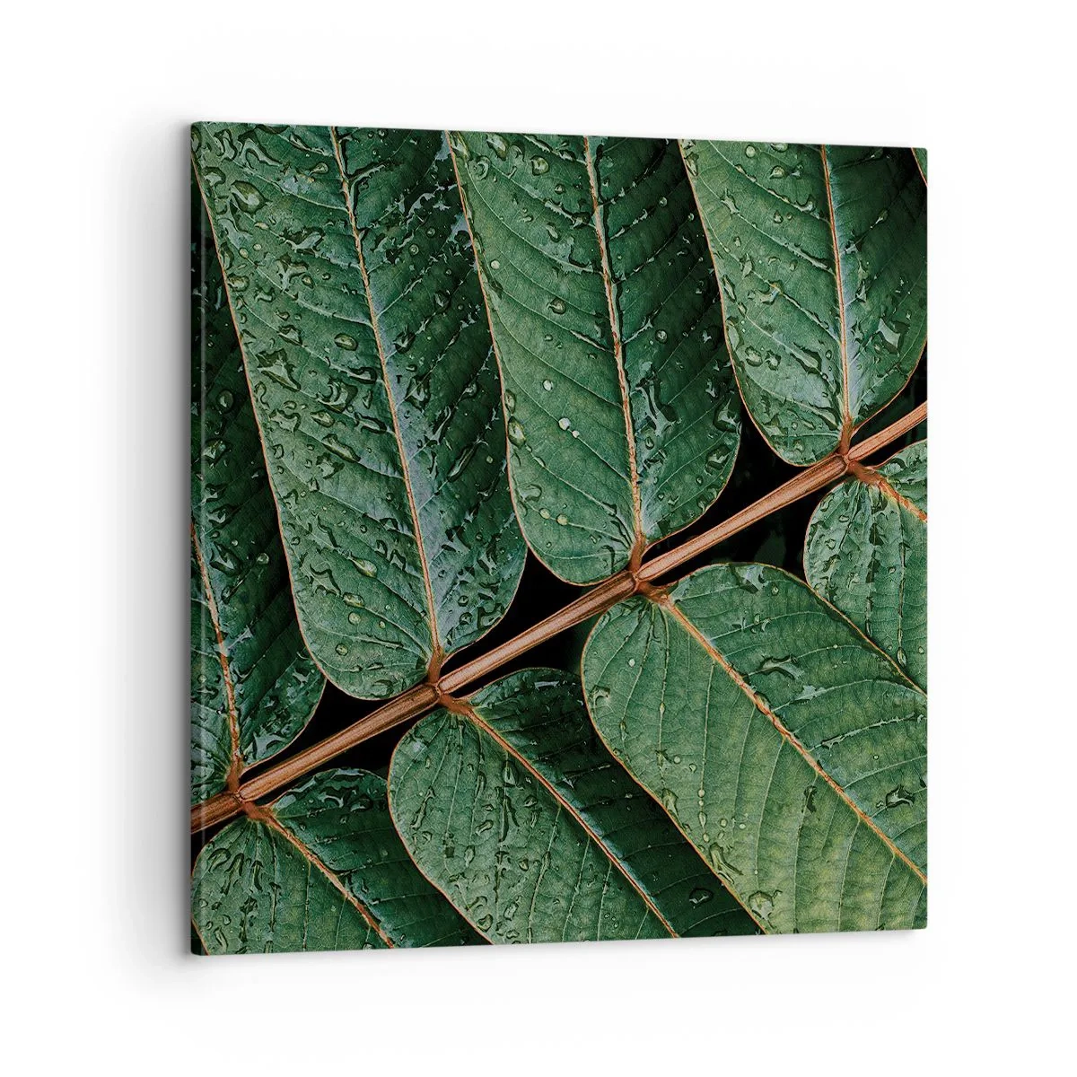 Impression sur toile - Image sur toile - Au rythme de la verdure - 60x60 cm