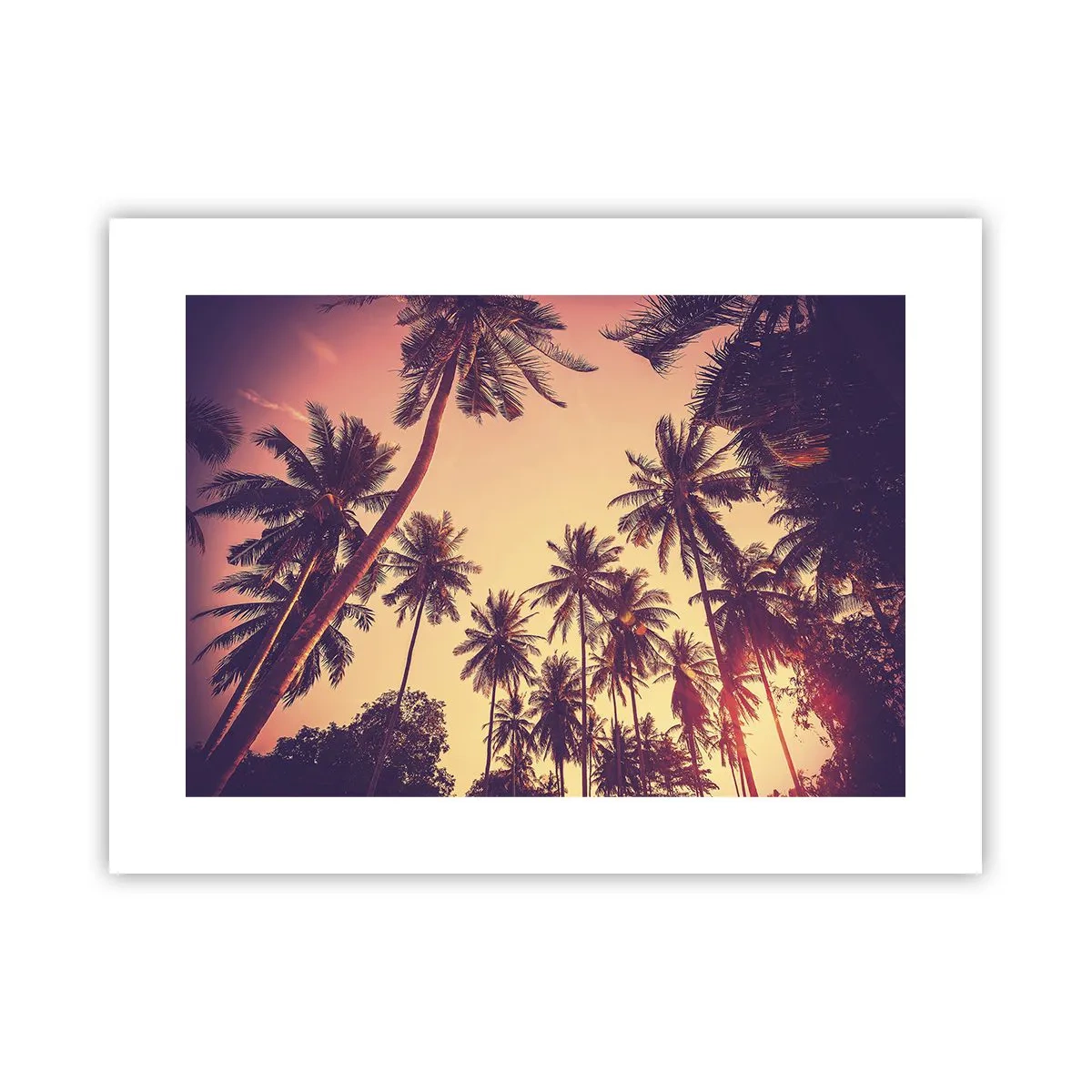 Affiche - Poster - Variation tropicale - 40x30 cm