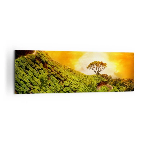 Impression sur toile - Image sur toile - Collines verdoyantes de plantations de thé au coucher du soleil - 160x50cm - Un chemin sinueux, une pente verte - Décoration murale moderne pour le salon et la chambre ARTTOR