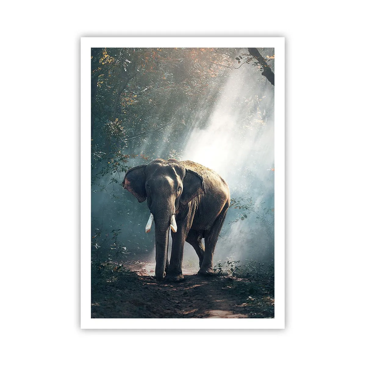 Affiche - Poster - Une balade tranquille - 70x100 cm