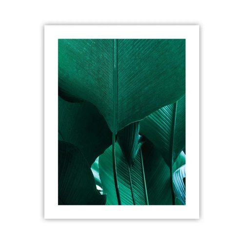 Affiche - Poster - Tourné vers la lumière - 40x50 cm