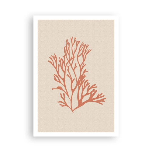 Affiche - Poster - Filigrane de corail - 70x100 cm
