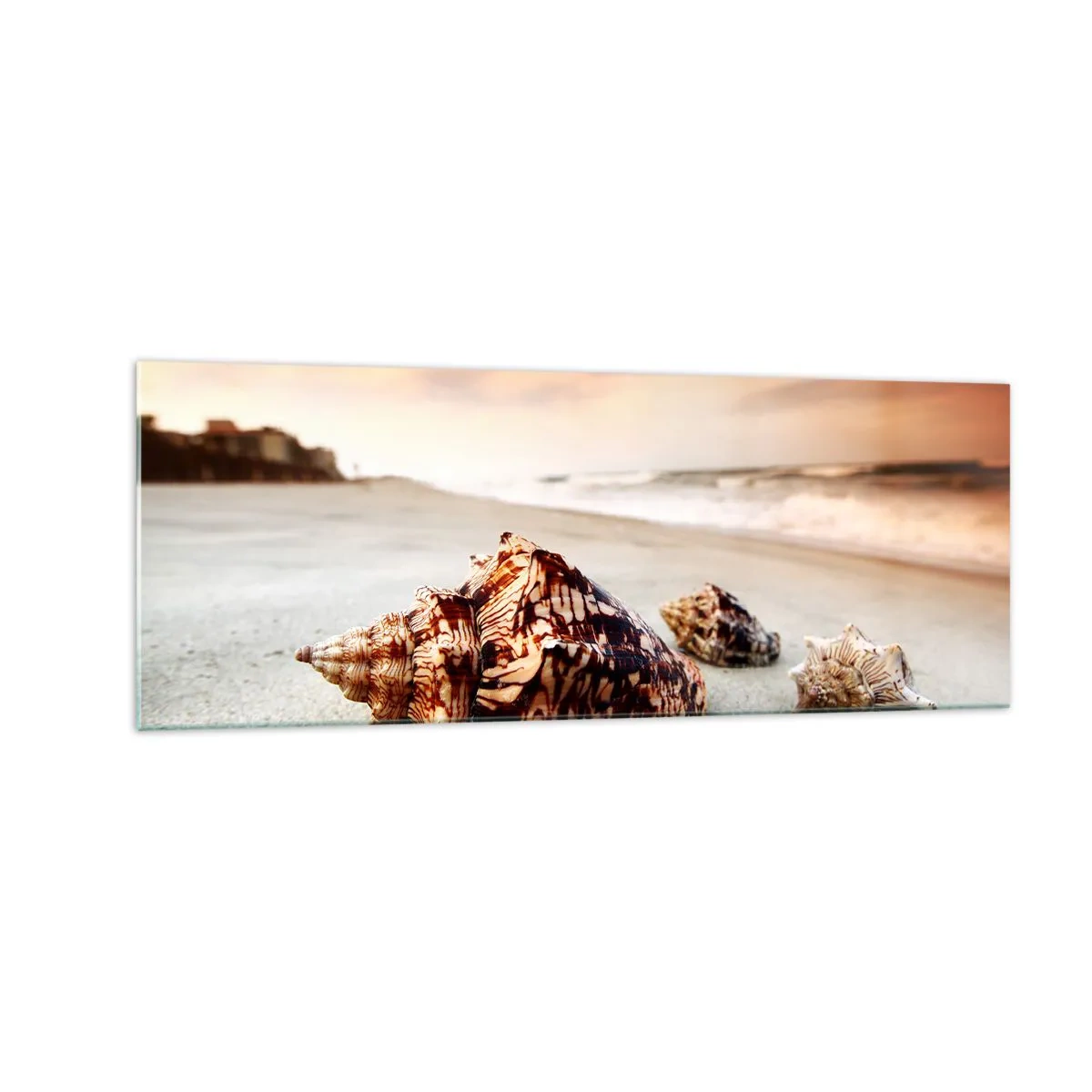 Impression sur verre - Image sur verre - Coquillages sur la plage au coucher du soleil - 140x50cm - Les parias des vagues - Décoration murale moderne pour le salon et la chambre ARTTOR
