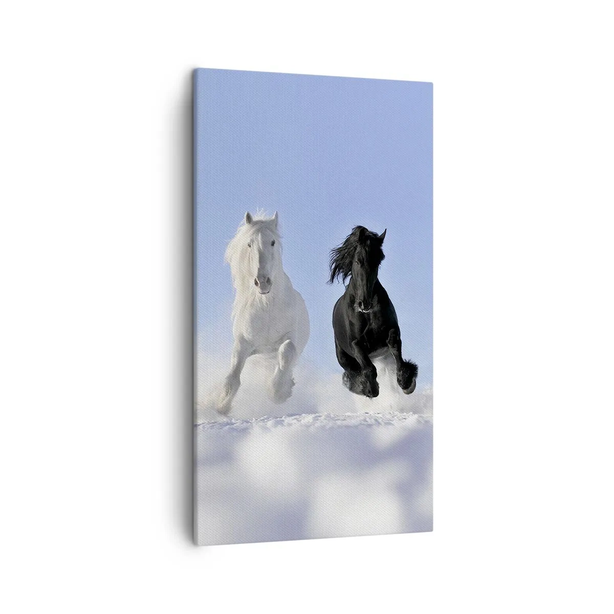 Impression sur toile - Image sur toile - Galop noir et blanc - 45x80 cm