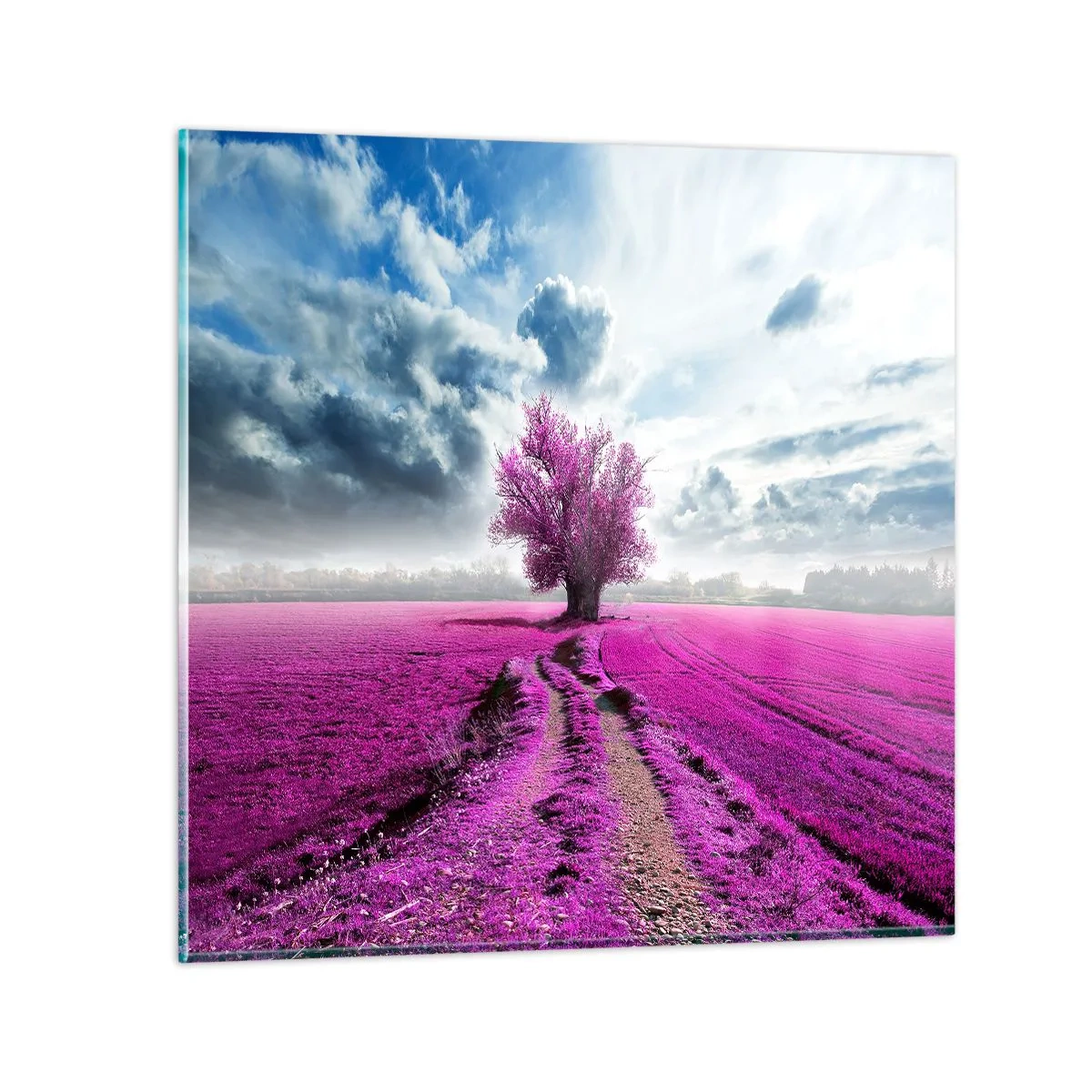 Impression sur verre - Image sur verre - Lande - nature sauvage - 70x70 cm
