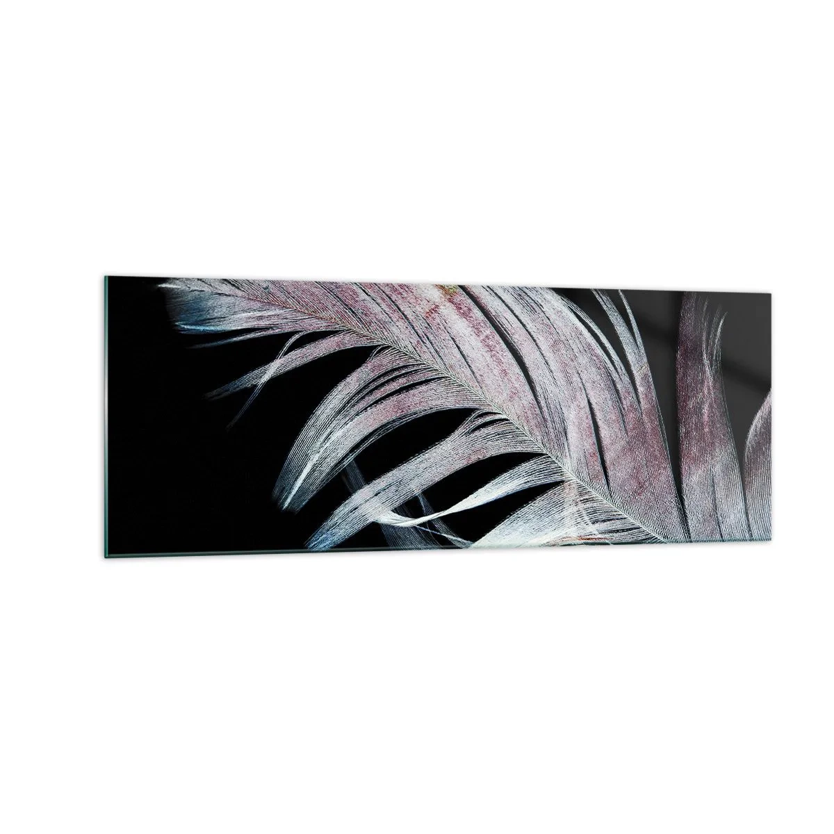 Impression sur verre - Image sur verre - Une plume délicate sur fond noir dans une démarche artistique - 140x50cm - Pensez au toucher - Décoration murale moderne pour le salon et la chambre ARTTOR