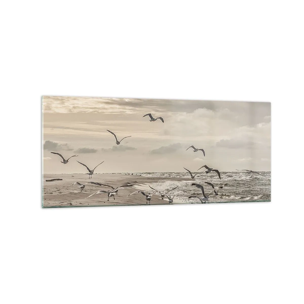 Impression sur verre - Image sur verre - Une mouette en vol au-dessus d'un paysage balnéaire - 120x50cm - Le bruit de la mer, le chant des oiseaux - Décoration murale moderne pour le salon et la chambre ARTTOR