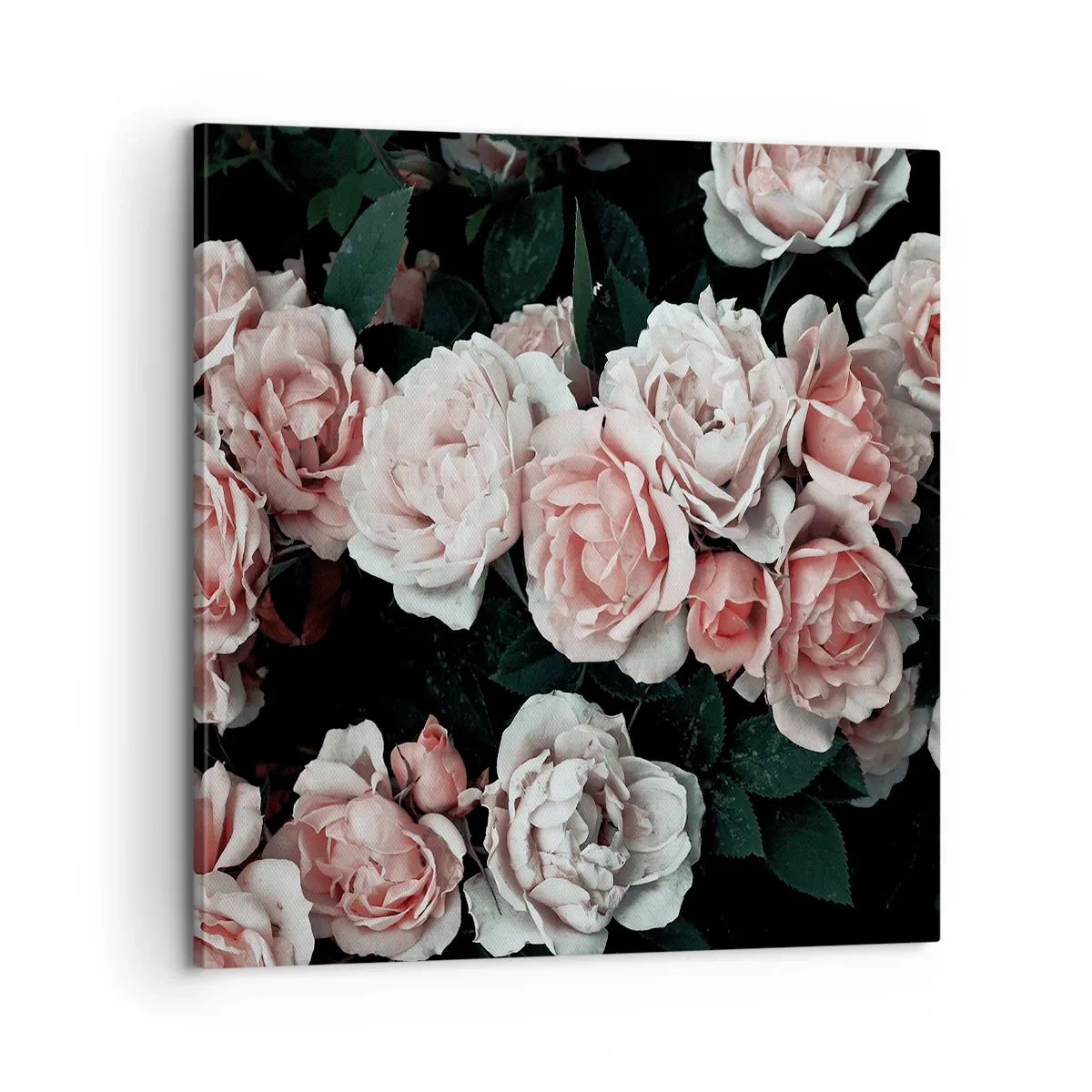 Impression sur toile - Image sur toile - Ensemble de rose - 60x60 cm