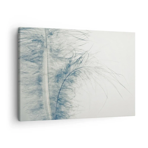 Impression sur toile - Image sur toile - Une plume délicate aux tons pastel sur fond clair - 70x50cm - Les sept natures - Décoration murale moderne pour le salon et la chambre ARTTOR