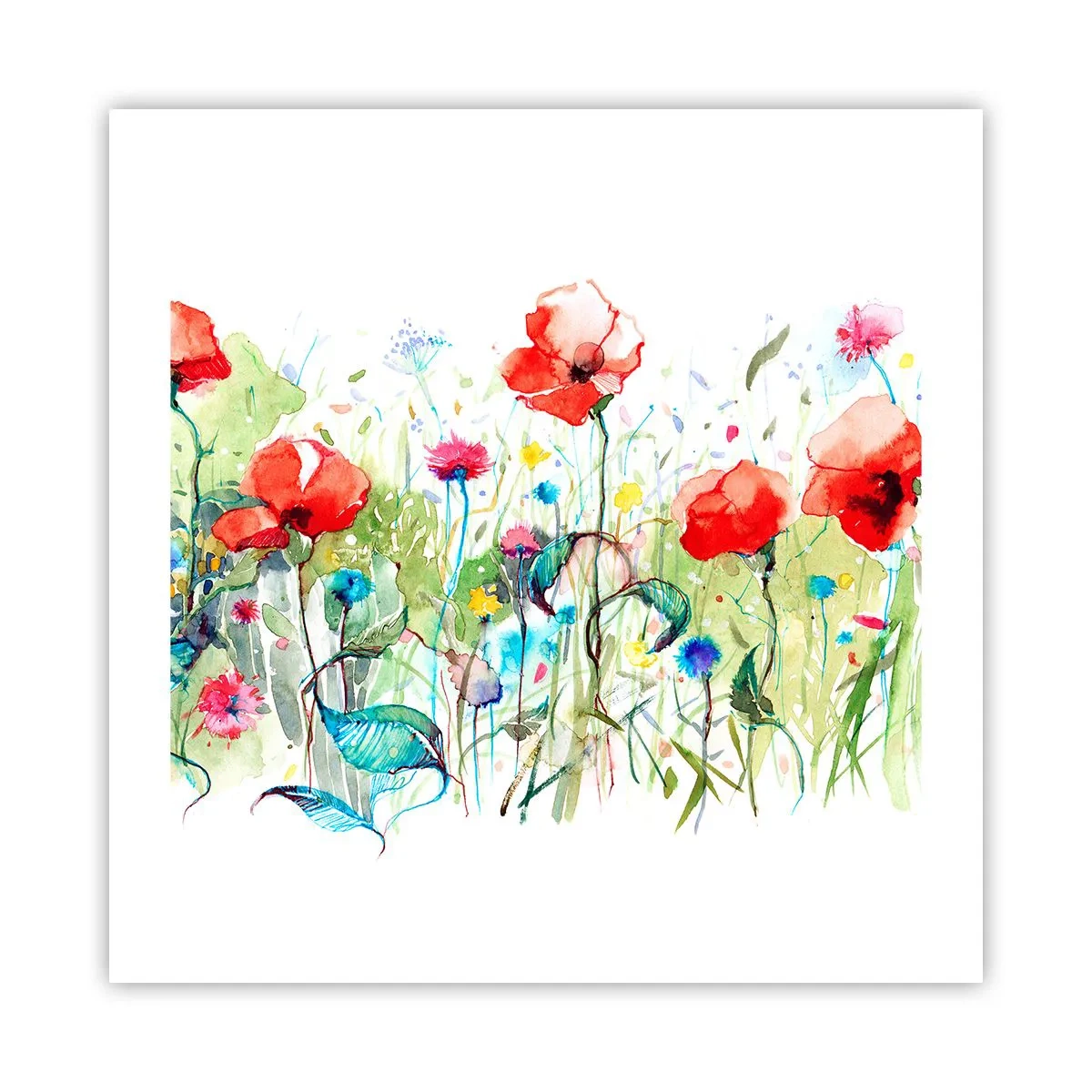 Affiche - Poster - Prairie de fleurs en mai - 50x50 cm