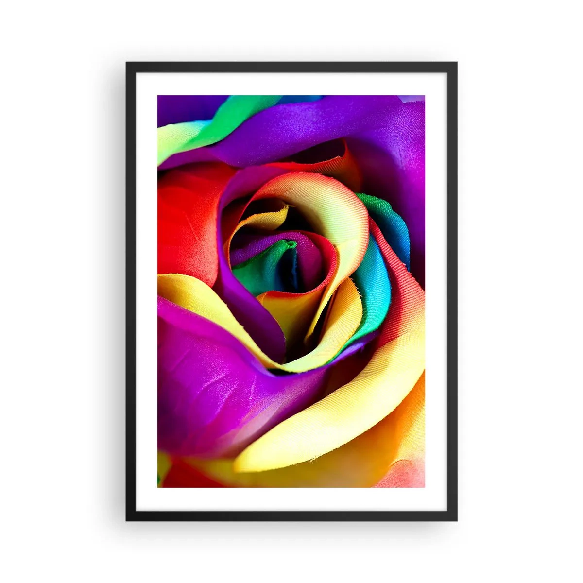 Affiche dans un cadre noir - Poster - Gros plan d'une rose colorée aux pétales arc-en-ciel - 50x70cm - Ce n'est pas possible - Décoration murale moderne pour le salon et la chambre ARTTOR