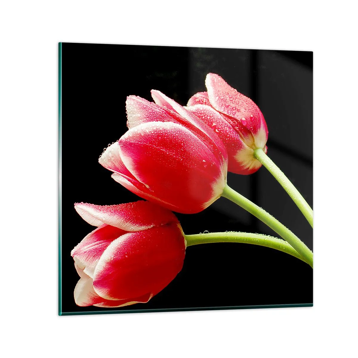 Impression sur verre - Image sur verre - Une promesse d'amour pur - 50x50 cm