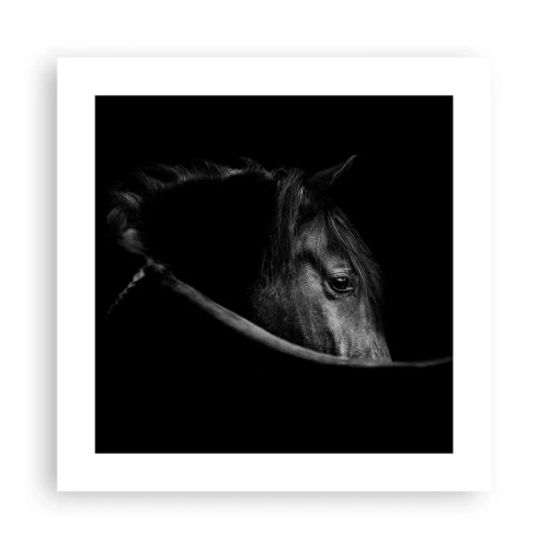 Affiche - Poster - Prince Noir - 40x40 cm